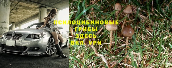 ECSTASY Козловка