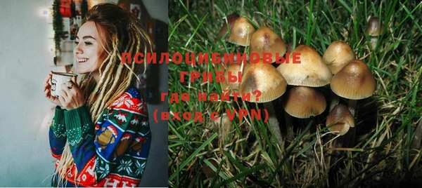 spice Кодинск
