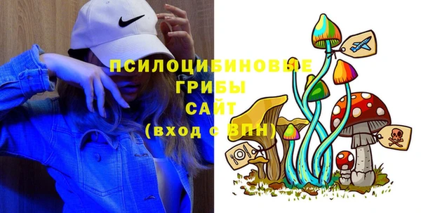 ECSTASY Козловка