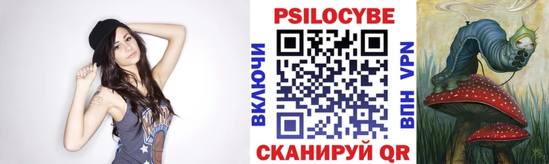 Купить где  Серафимович  Псилоцибиновые грибы Magic Shrooms 